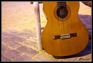 seminario_guitarra