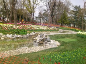 Tulipanes de colores en el Parque de Emirgan (Fotografía Özge Memişler)